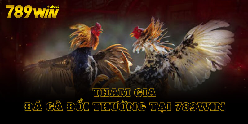 Tham gia đá gà đổi thưởng tại 789win